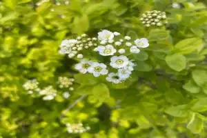 Из Казани — к Голубым озёрам, заповеднику и монастырю среди деревьев - 3