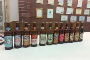 Янтарное золото Самары - 7