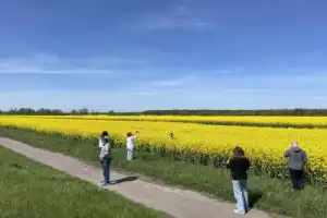 Самобытная Беларусь: погружение в культуру, историю и традиции - 10