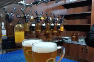 Крафтовое пиво в Ташкенте: вкус, традиции и секреты дегустации