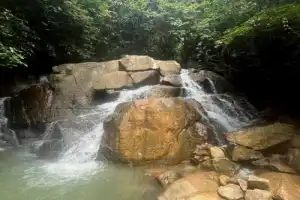 Экскурсия-треккинг: джунгли Пхукета + водопад - 6