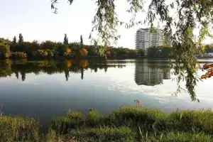 Краснодар — город на «золотой параллели» - 7