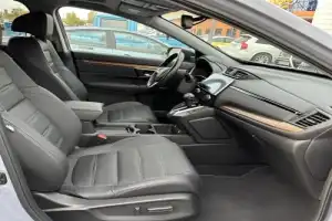 Трансфер из Бреста на экскурсию в Беловежскую пущу - 9