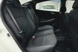 Трансфер из Бреста в Мирский и Несвижский замки и обратно - 13