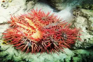 Ночёвка в пустыне у самого Красного моря - 5