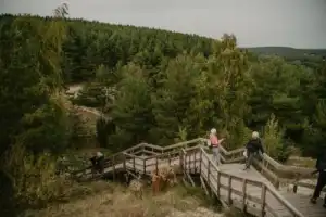 Знакомство с Куршской косой: на автобусе из Зеленоградска - 2