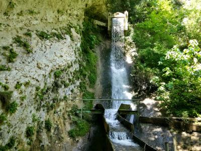 Абхазское комбо: Сухум + Черниговка + термальные источники Кындыг - 6