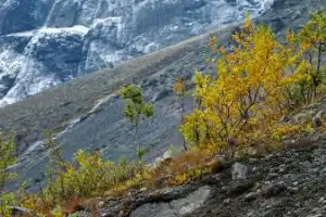 Ловозерские тундры: великолепие Севера - 13