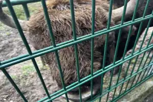 Из Бреста — в Беловежскую пущу - 5