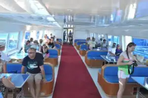 Морская прогулка на лодке с прозрачным дном - 12