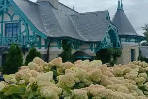 Готическое путешествие из Самары - 7