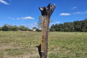 Тайны немецкого бункера Barenhalle (на вашем авто) - 4