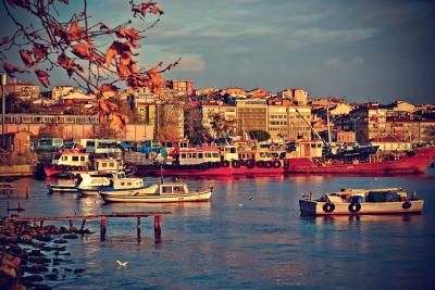 Гастро-приключение в азиатском Стамбуле - 7