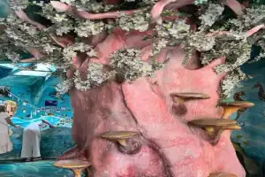 Из Нячанга — в Далат, самый европейский город Юго-Восточной Азии - 6