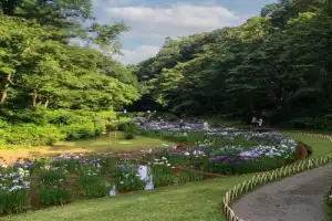 Мост веков в Токио: от традиций до современности - 8