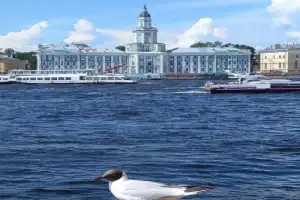 Визитные карточки города на Неве - 4