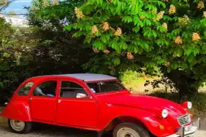 Долина Люберон — сердце Прованса - 4