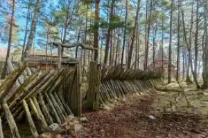 Самое-самое на Куршской косе - 10