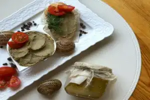 Экскурсия по улиточной ферме в Сочи - 20