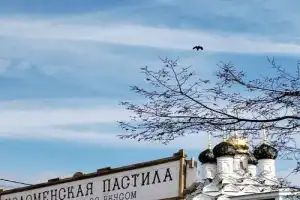 Коломна: от купеческого Посада до арт-квартала «Патефонка» - 12