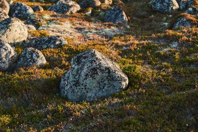 Териберка — «маленький северный рай» - 6