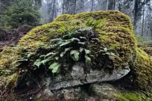 Тайные места Ладожских шхер - 14