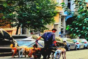 Настоящий Стамбул: backstage-прогулка с режиссёром - 3