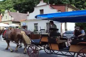 Королевские грады Карлштейн и Кршивоклат - 3