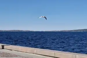 Валаам и Ладожские шхеры — из Петрозаводска - 3