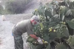 Колоритный Кипр: поездка по горным деревушкам - 4