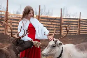 Из Мурманска — в тундру Из Мурманска — в тундру