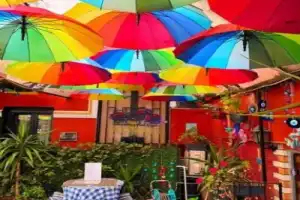 Море тюльпанов и главные достопримечательности Стамбула - 5