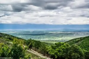 В Кахетию! Туда, где собирают солнце в виноград - 5