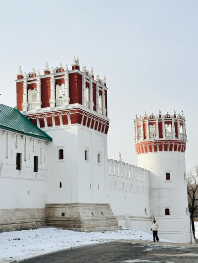 Царственные насельницы Новодевичьего монастыря - 2
