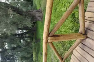 Музей-заповедник «Болдино» (из Нижнего Новгорода) - 4