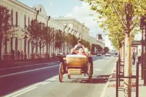 Казанское котопутешествие - 5