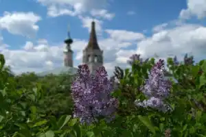 Суздаль. Ха-ха-ха - 2