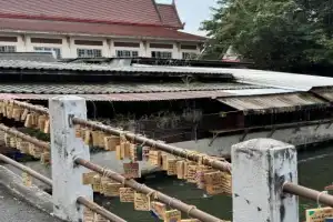 В сердце Таиланда: обзорная экскурсия по Бангкоку - 6