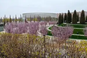 Невероятный парк Галицкого - 9