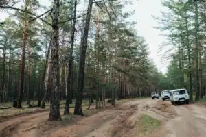Северный Ольхон со всех сторон: на теплоходе и УАЗе - 4