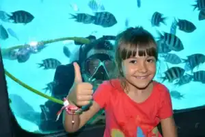 Морская прогулка на лодке с прозрачным дном - 9