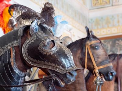 На страже Эрмитажа: экскурсия по Рыцарскому залу - 6