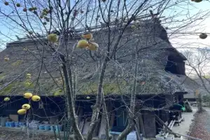 Вокруг горы Фудзияма — на машине! - 4
