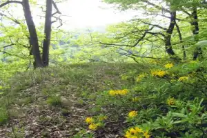 Тропа приключений: треккинг в Нальчике - 15