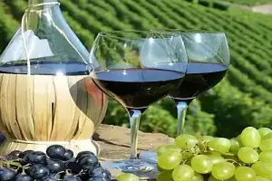 Индивидуально по Грузии: Тбилиси и Кахетия, Боржоми и Мцхета, скальный город и крепость Рабат - 4