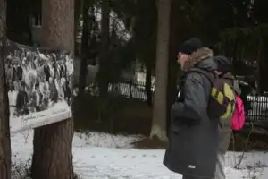 Комарово и дачный Петербург - 12