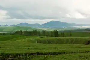 Путешествие в Чемал по долине реки Катунь - 4