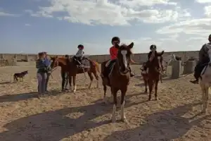 Конные прогулки по пустыне и к Красному морю - 19