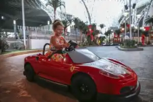 Билеты в парк Ferrari World - 6