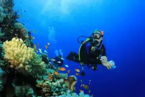 Дайвинг в бухтах Кемера — из Анталии Дайвинг в бухтах Кемера — из Анталии